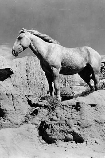 Fight of the Wild Stallions (1947)