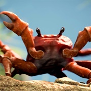 Crab Rave