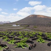 Lanzarote, La Gueria