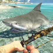 Sharks Far Cry 3