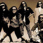 The Wonderstuff