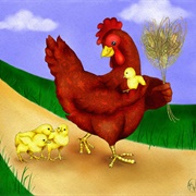 The Little Red Hen