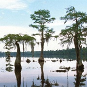 Singletary Lake State Park