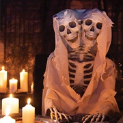 2-Headed Skeleton