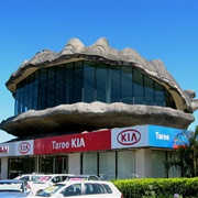 Big Oyster, Taree, Australia
