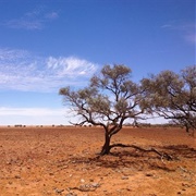 Simpson Desert