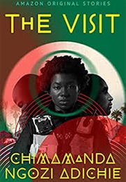 The Visit (Chimamanda Ngozi Adichie)