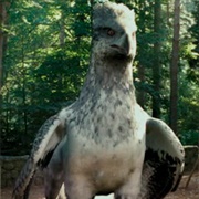 Buckbeak