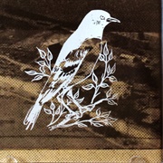 Abilene - Damien Jurado