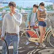 When the Camellia Blooms