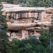 Spruce Tree House, Mesa Verde