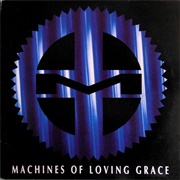 Machines of Loving Grace ‎– Rite of Shiva