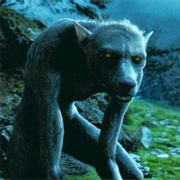 Werewolf Remus