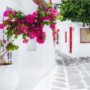 Walk the Whitewashed Alleys of Mykonos