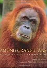 Among  Orangutans: Red Apes and the Rise of Human Culture (Carel Van Schaik and Perry Van Duijnhoven)