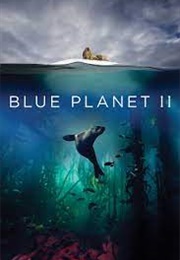 Blue Planet II (2017)