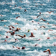 Swim in the Ocean, Lake, or River