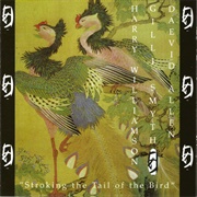 Daevid Allen - Stroking the Tail of the Bird