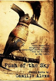 Push of the Sky (Camille Alexa)