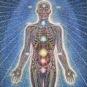 Sacred Mirrors, Alex Grey
