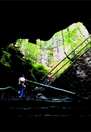 Wind Cave (Haruki Murakami)