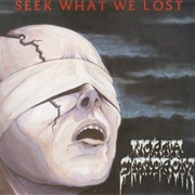 North Syndrom - Seek What We Lost