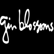 Gin Blossoms
