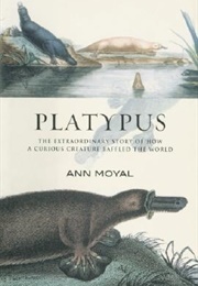 Platypus (Ann Moyal)