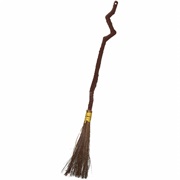 Broomstick