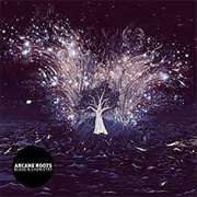 Arcane Roots - Blood &amp; Chemistry