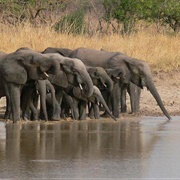 Kéran National Park, Togo