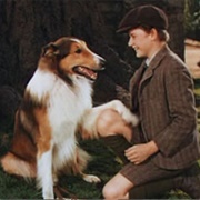 Lassie (Lassie Come Home, 1943)