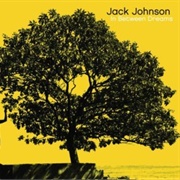 Jack Johnson - In Between Dreams