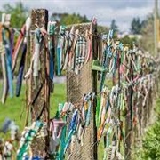 Toothbrush Fence