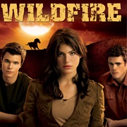 Wildfire