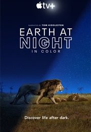 Earth at Night in Color (2020)