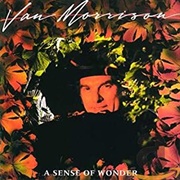 A Sense of Wonder (Van Morrison, 1985)