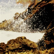 Coppice Halifax - High Hawaiian Fog