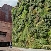 Caixa Forum