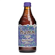 Humm Blueberry Mint Kombucha