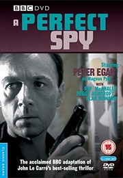 The Perfect Spy (1987)
