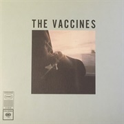 Wetsuit - The Vaccines