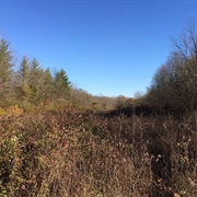 McKee-Beshers Wildlife Management Area