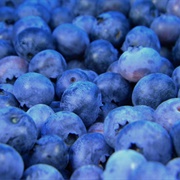 Blue Fruit