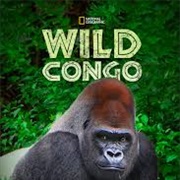 Wild Congo