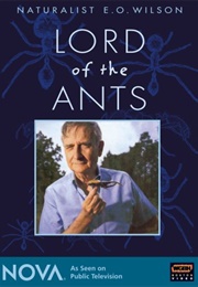 Lord of the Ants (2008)