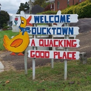 Ducktown, TN