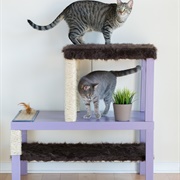 Build a Cat Condo