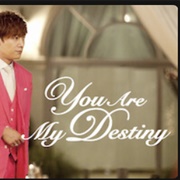 You Are Destiny