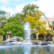 California Institute of Technology